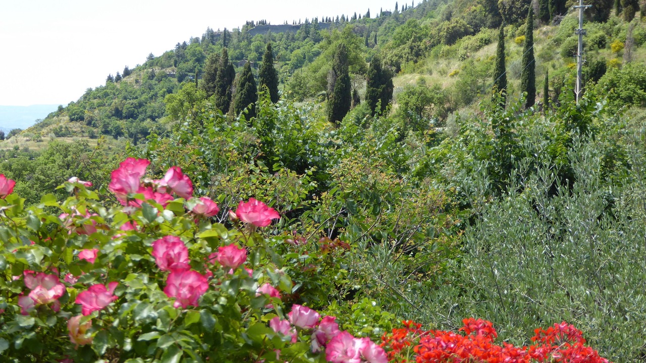 Photo of Others in Cortona