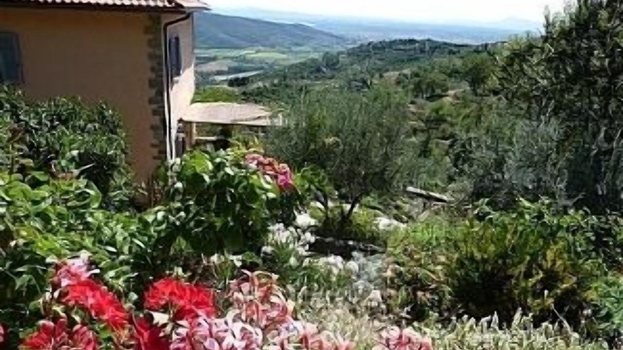 Photo of Outdoor in Cortona