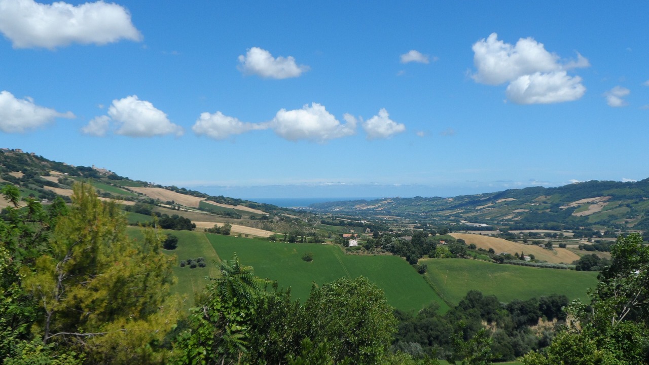 Photo of Others in Monterubbiano