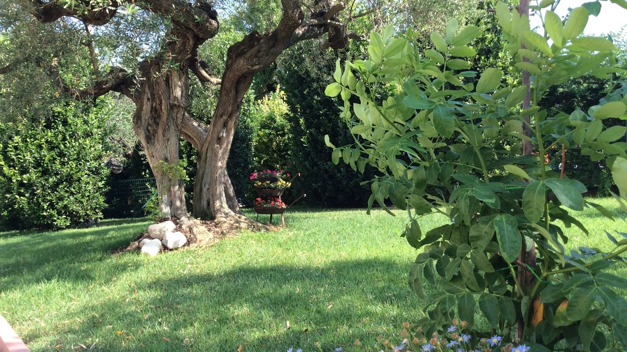 Photo of Outdoor in Pianella