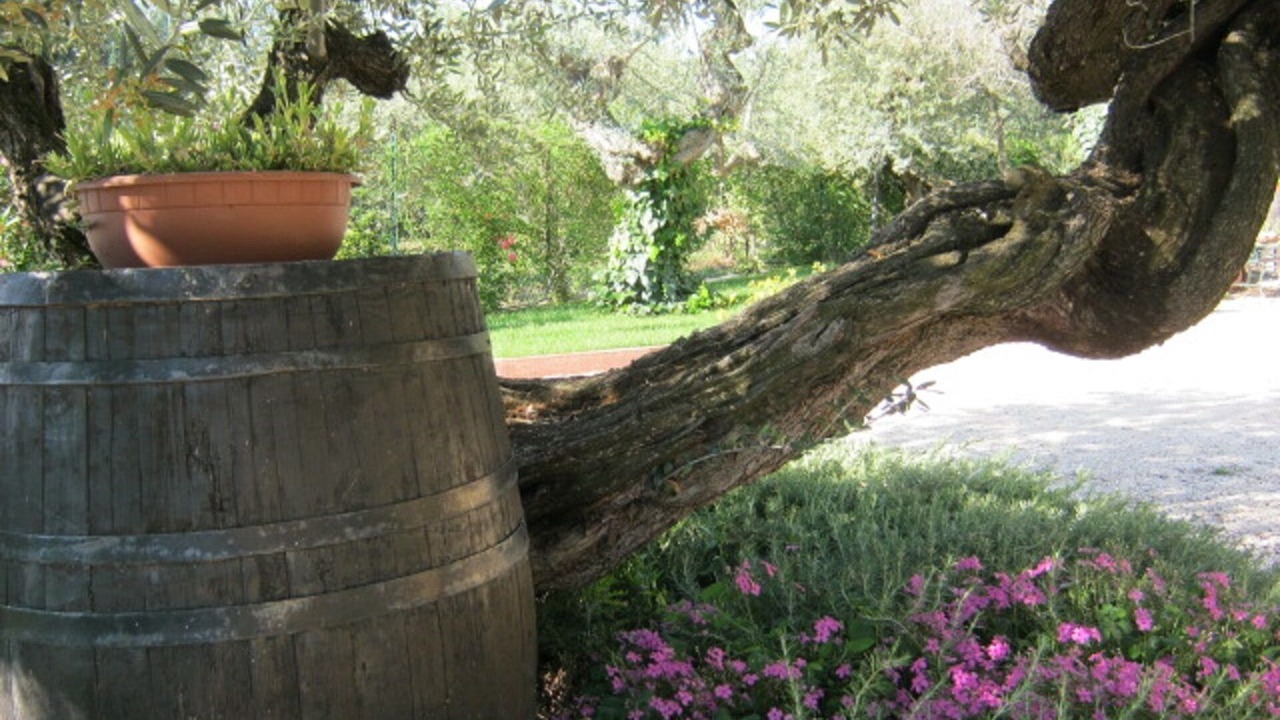 Photo of Outdoor in Pianella