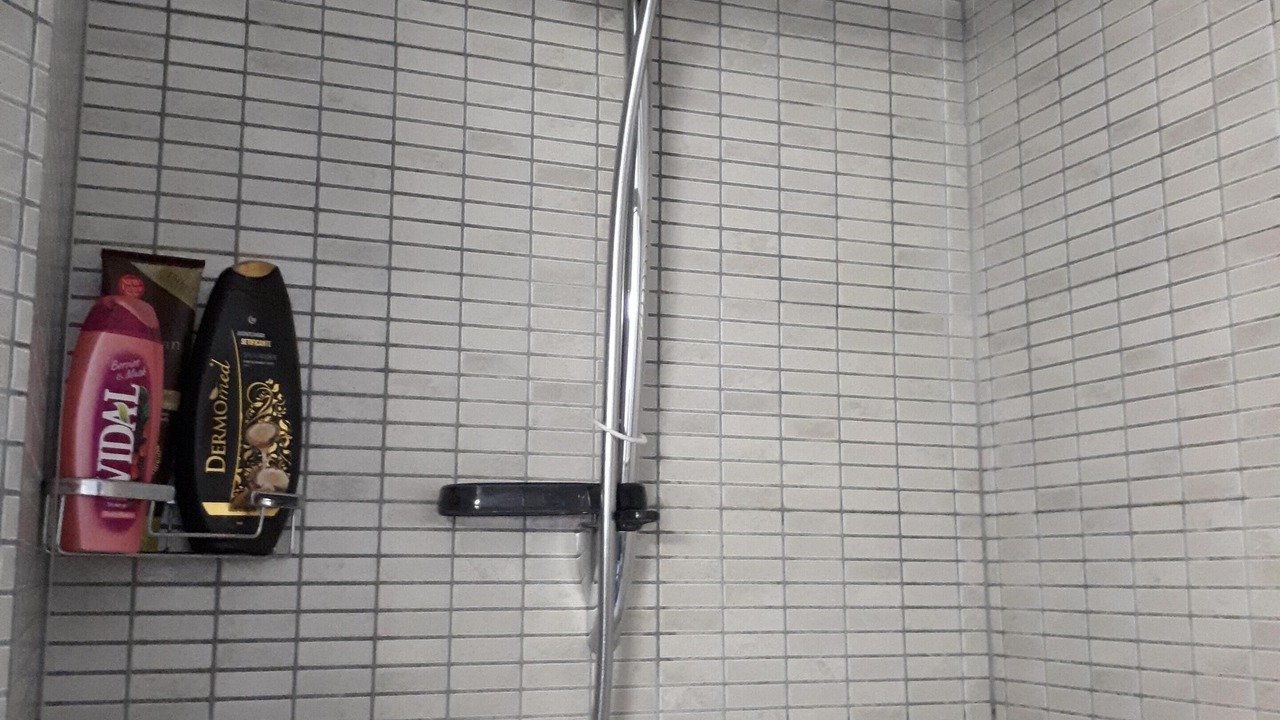 Photo of Bathroom in Peschiera Maraglio