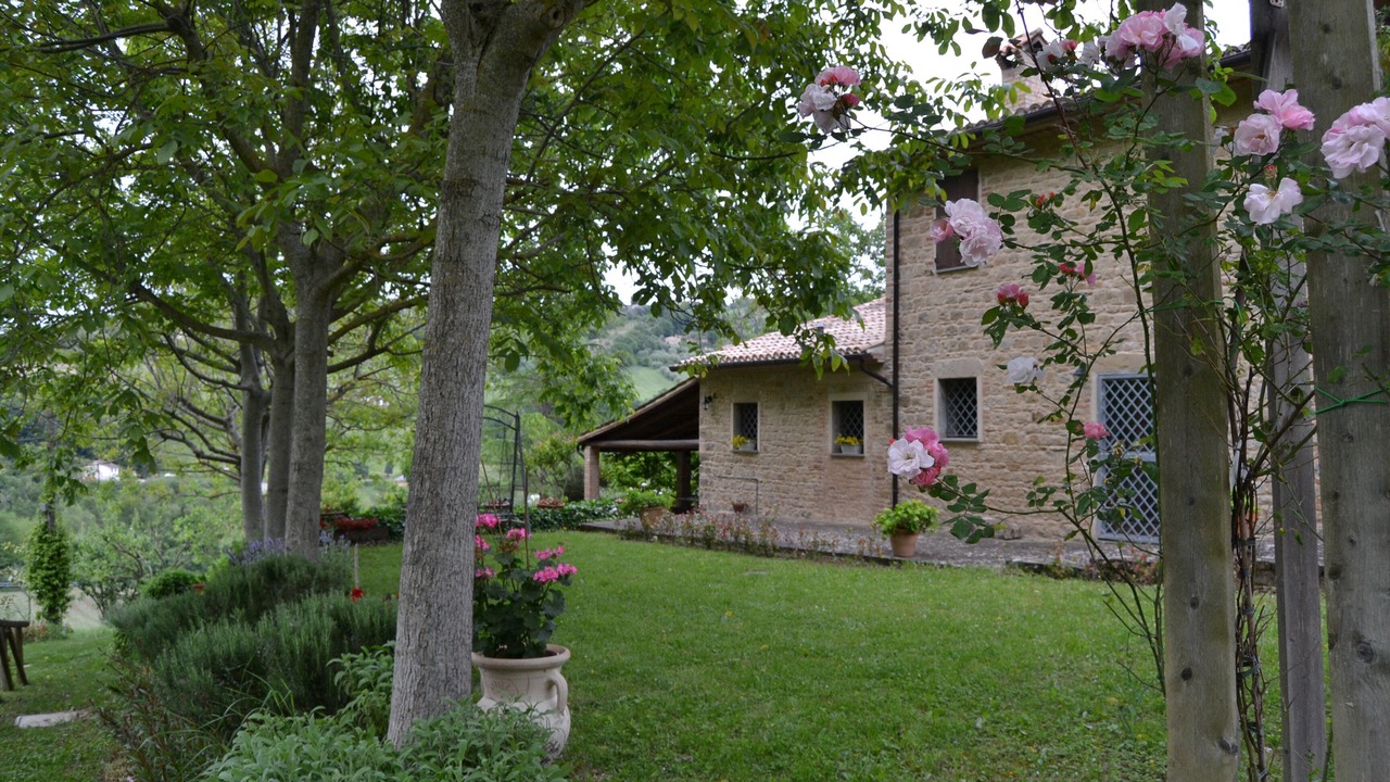 Photo of Outdoor in Serra San Quirico