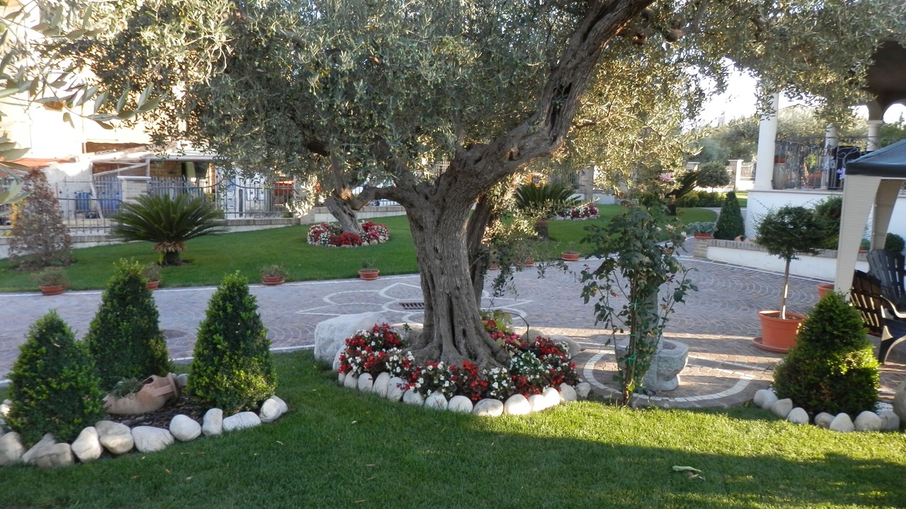 Photo of Outdoor in Fossacesia