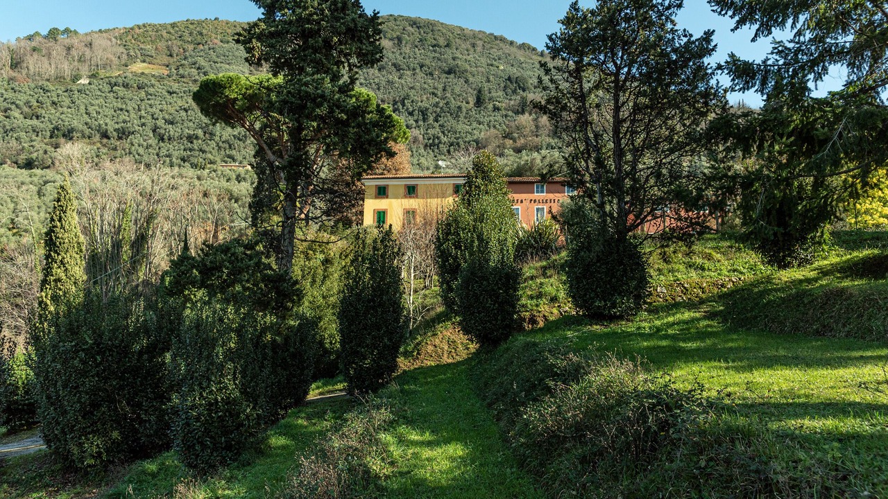 Photo of Outdoor in Camaiore