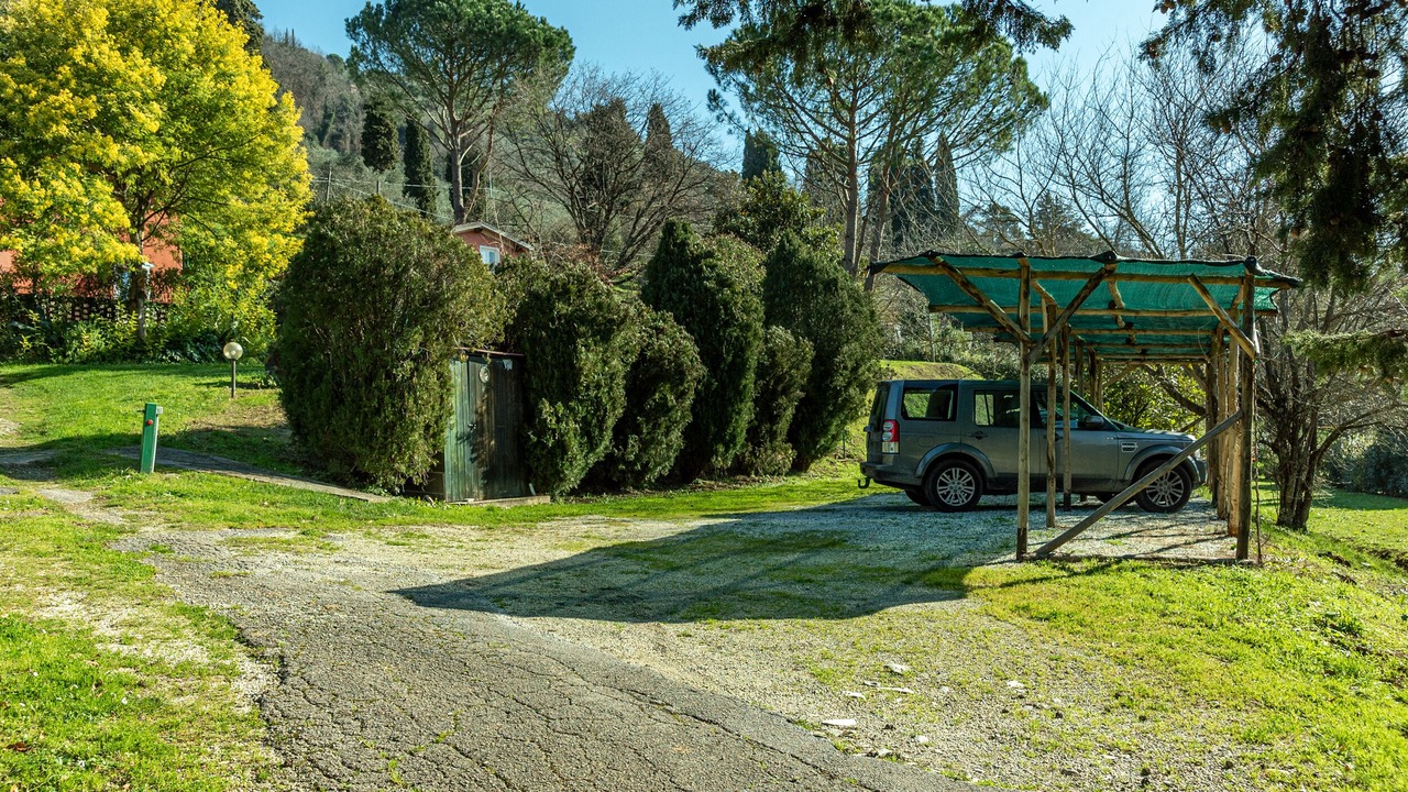 Photo of Others in Camaiore