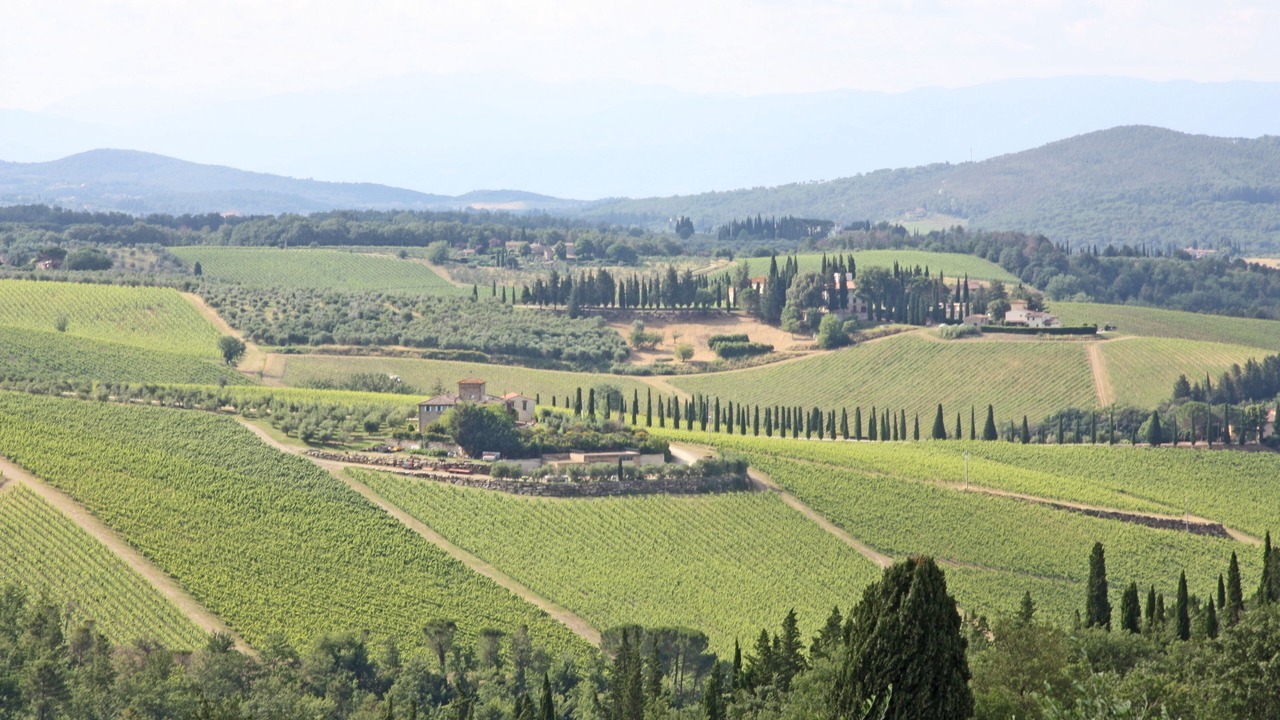 Photo of Outdoor in San Casciano in Val di Pesa