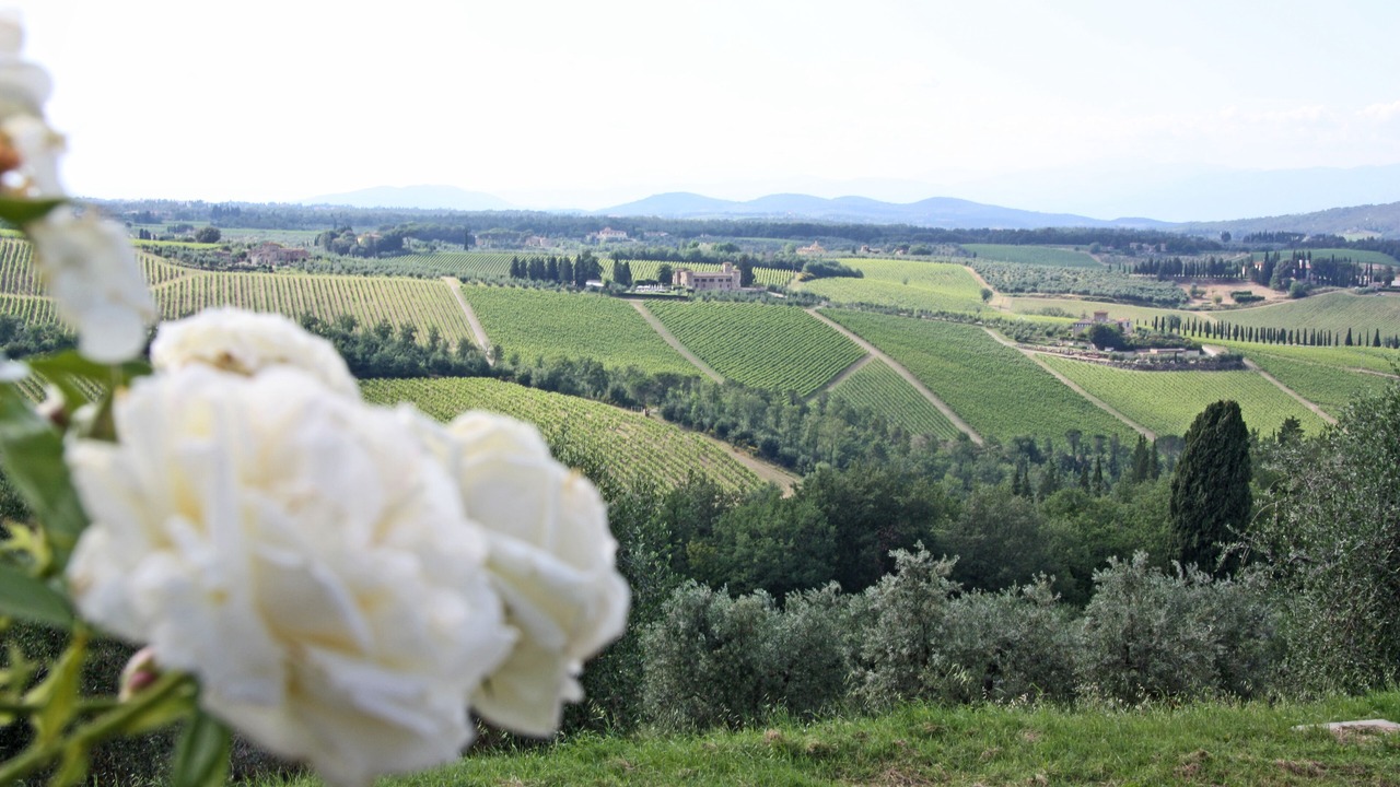 Photo of Outdoor in San Casciano in Val di Pesa