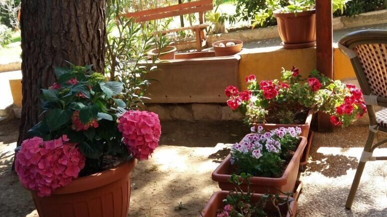 Photo of Outdoor in Defensola