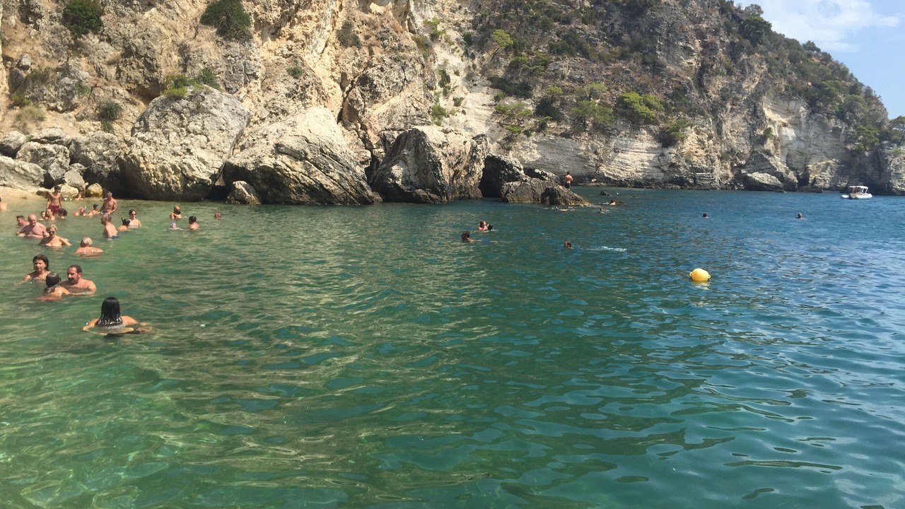 Photo of Others in Defensola