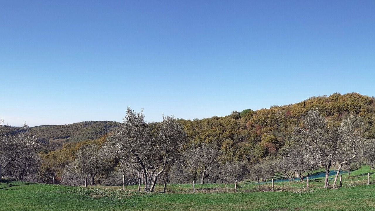 Photo of Others in Cignano