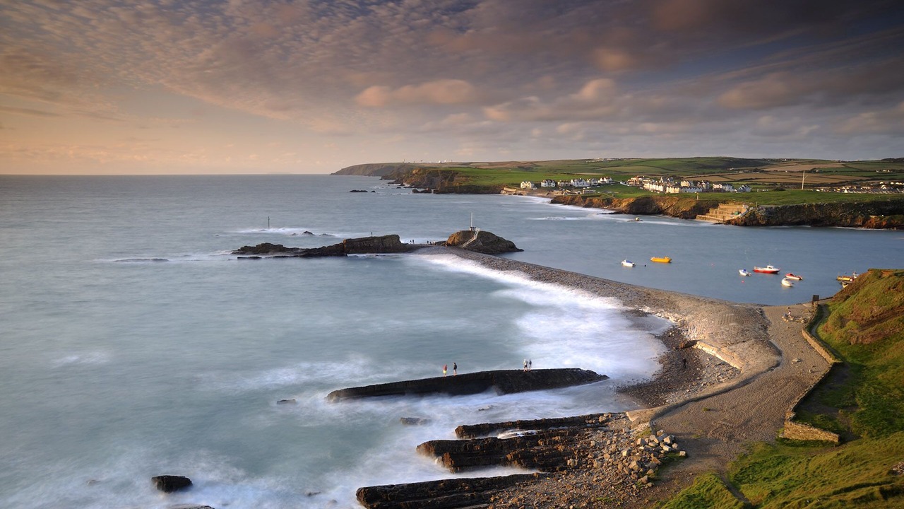 Photo of Others in Bude