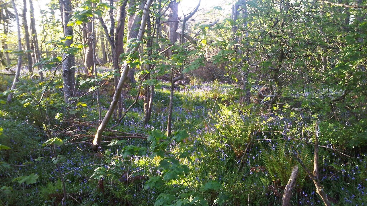 Photo of Outdoor in Bushmills