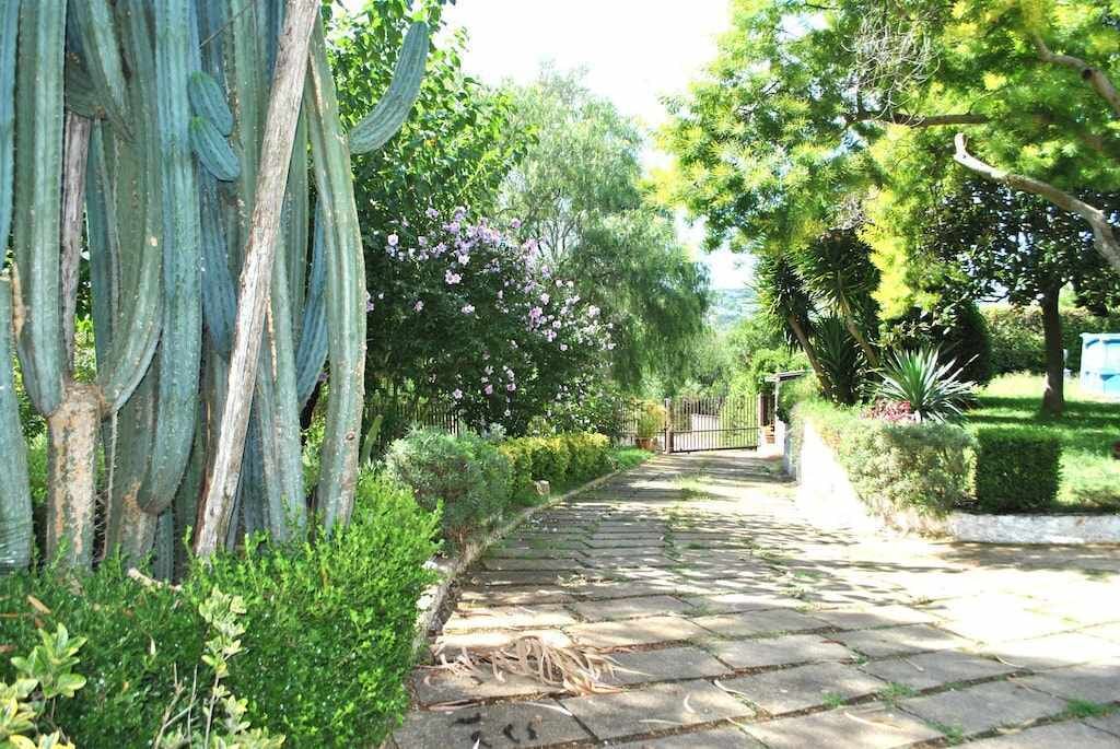 Photo of Outdoor in Itri