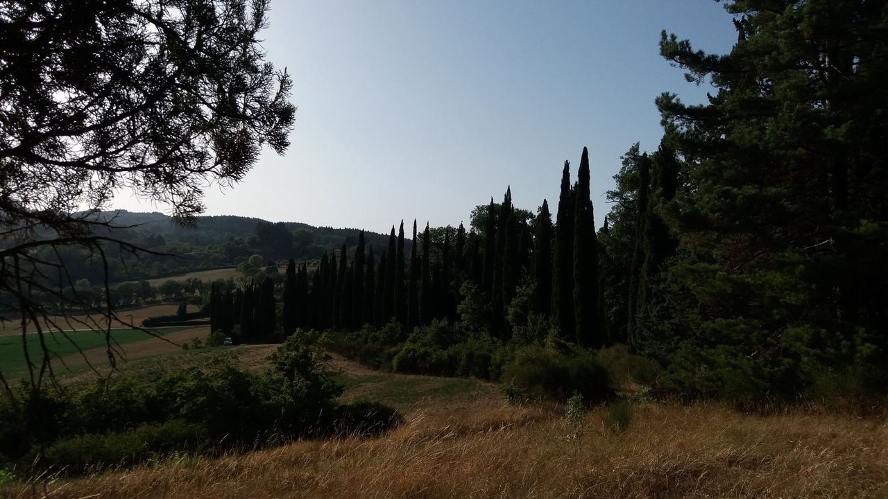 Photo of Outdoor in Moncioni