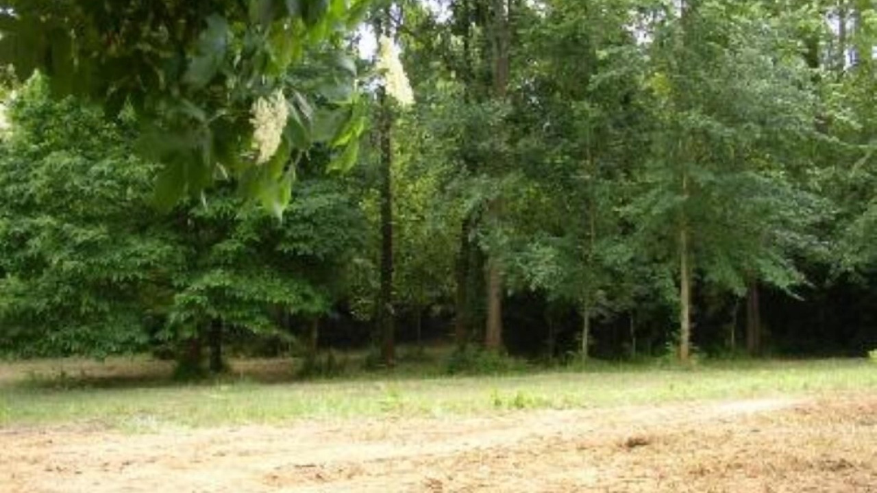 Photo of Outdoor in Fauglia
