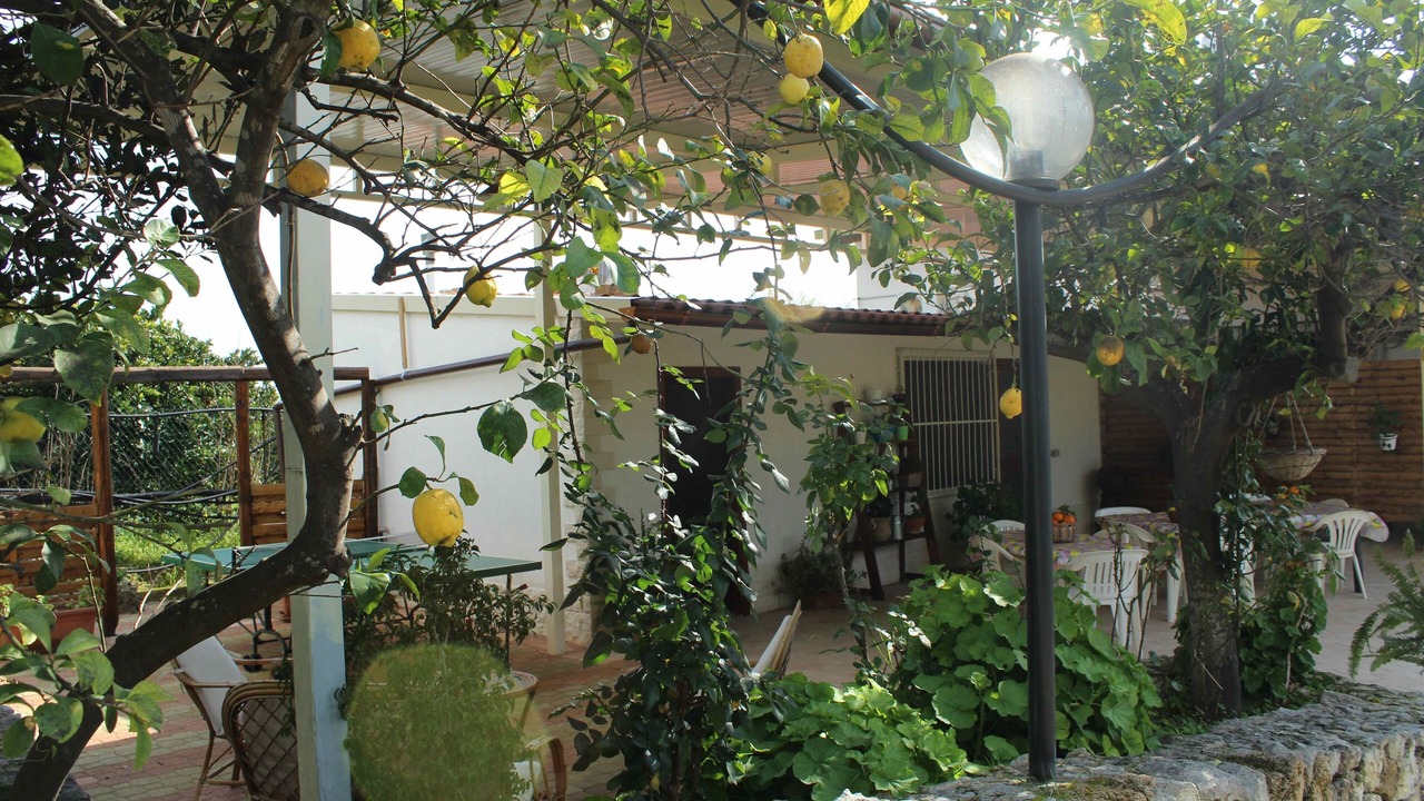 Photo of Patio Balcony in Syracuse