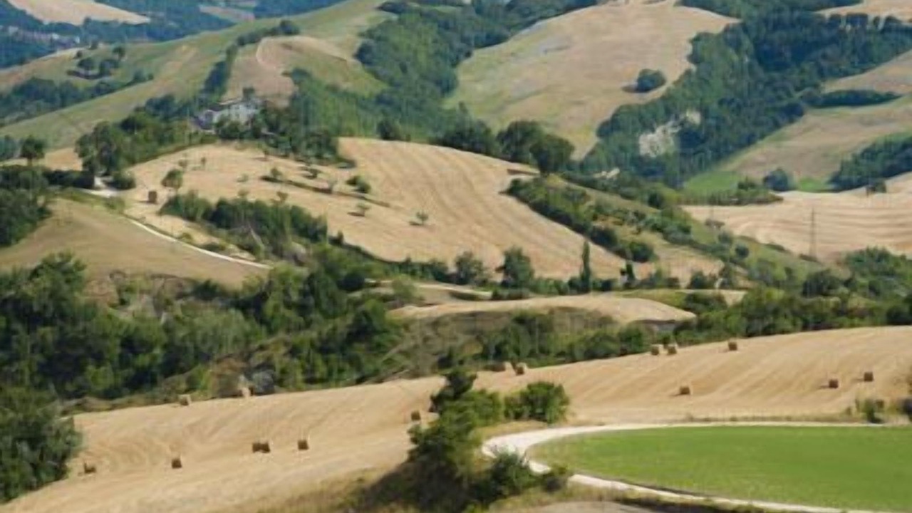 Photo of Others in Macerata Feltria