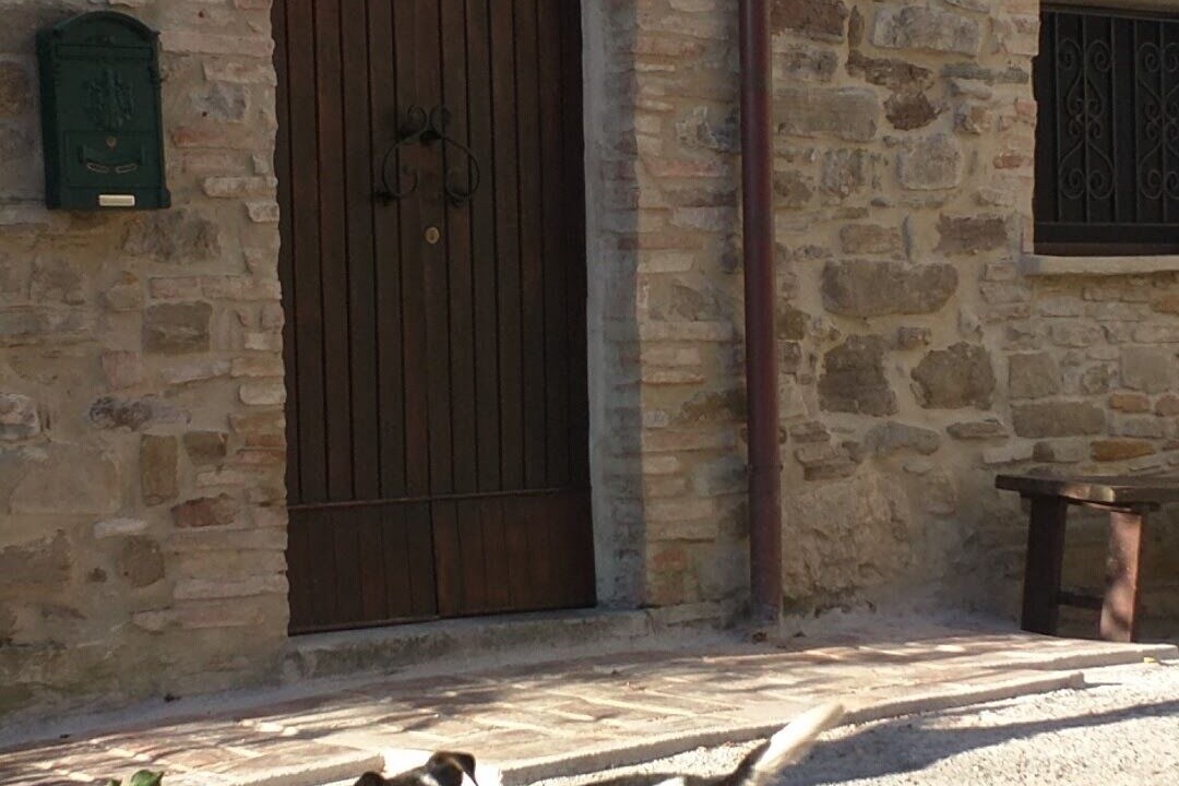 Photo of Others in Macerata Feltria
