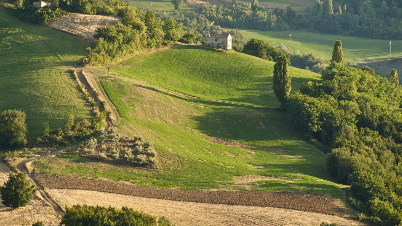 Photo of Others in Macerata Feltria
