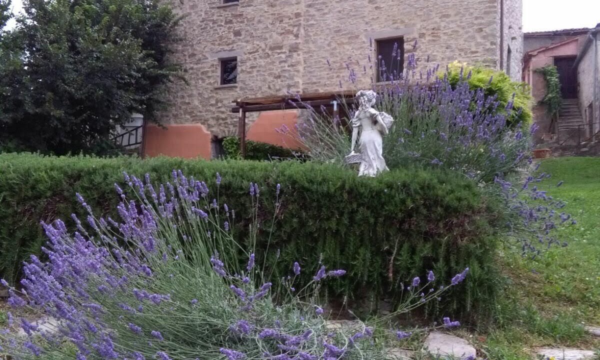 Photo of Outdoor in Macerata Feltria