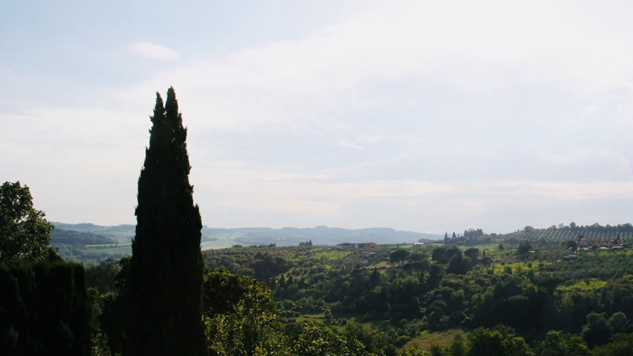 Photo of Others in Scandicci