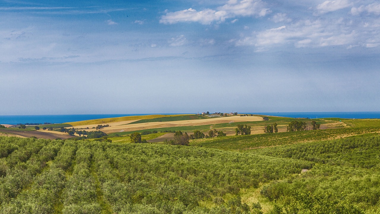 Photo of Outdoor in Petacciato