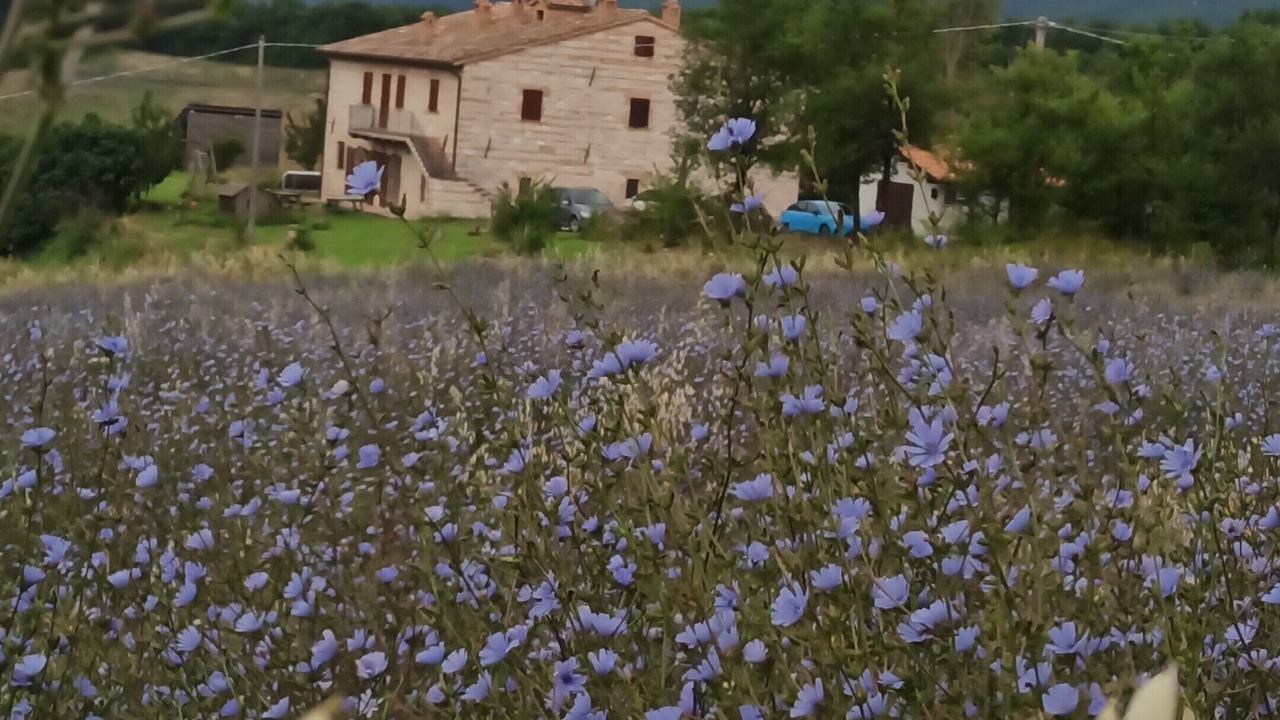 Photo of Others in Fabriano
