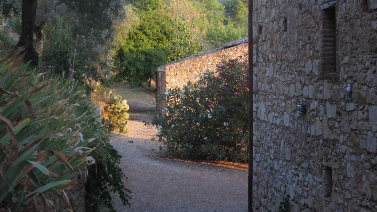 Photo of Others in Castellina in Chianti
