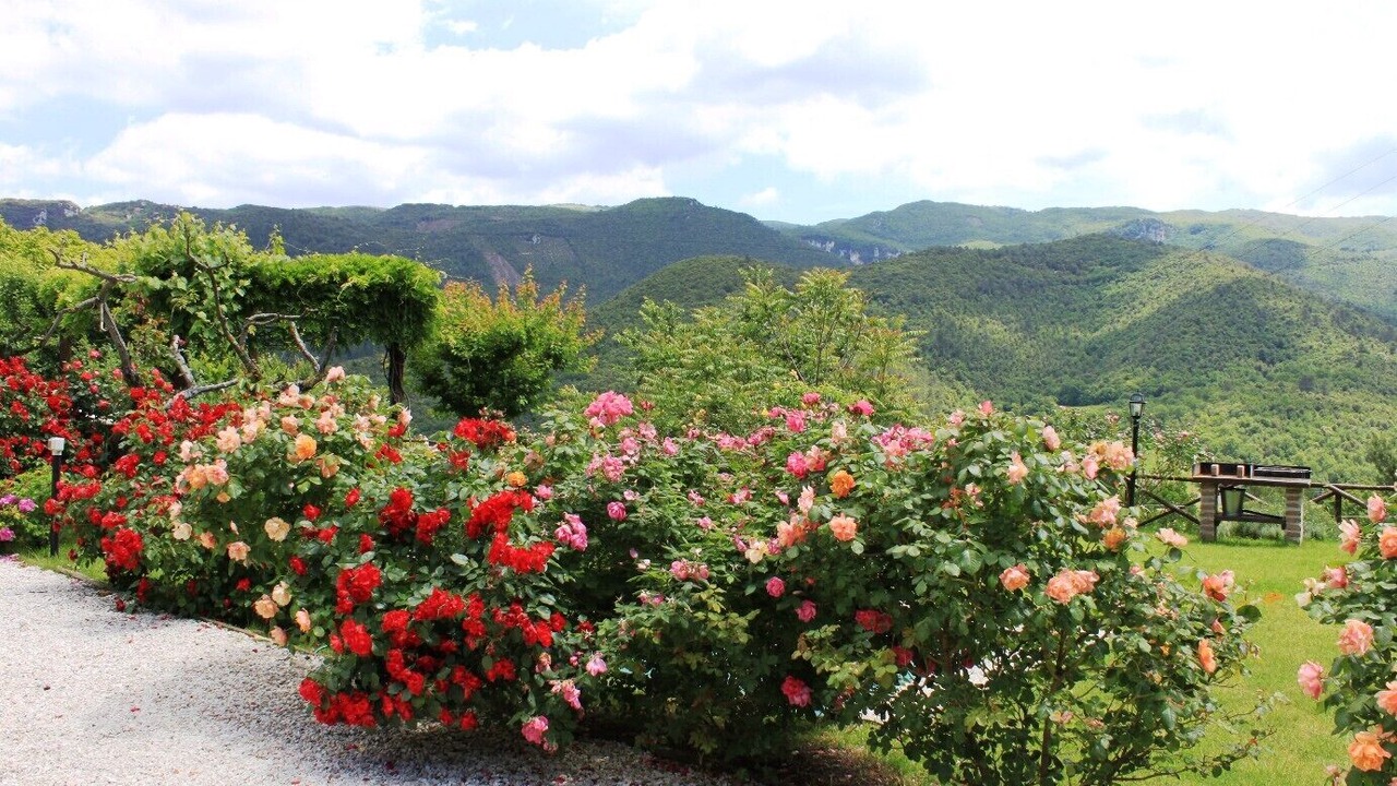 Photo of Outdoor in Spoleto