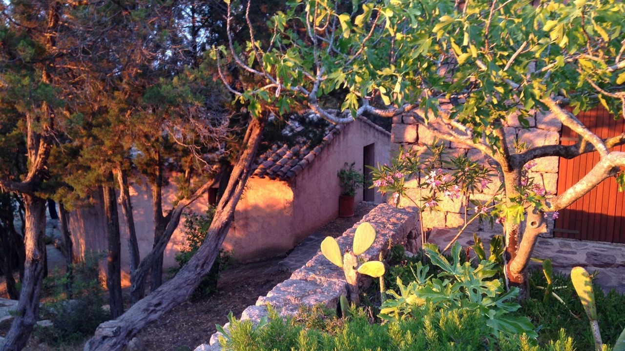 Photo of Outdoor in Liscia di Vacca