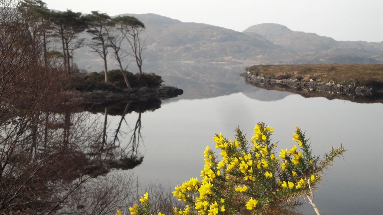 Photo of Others in Clachtoll