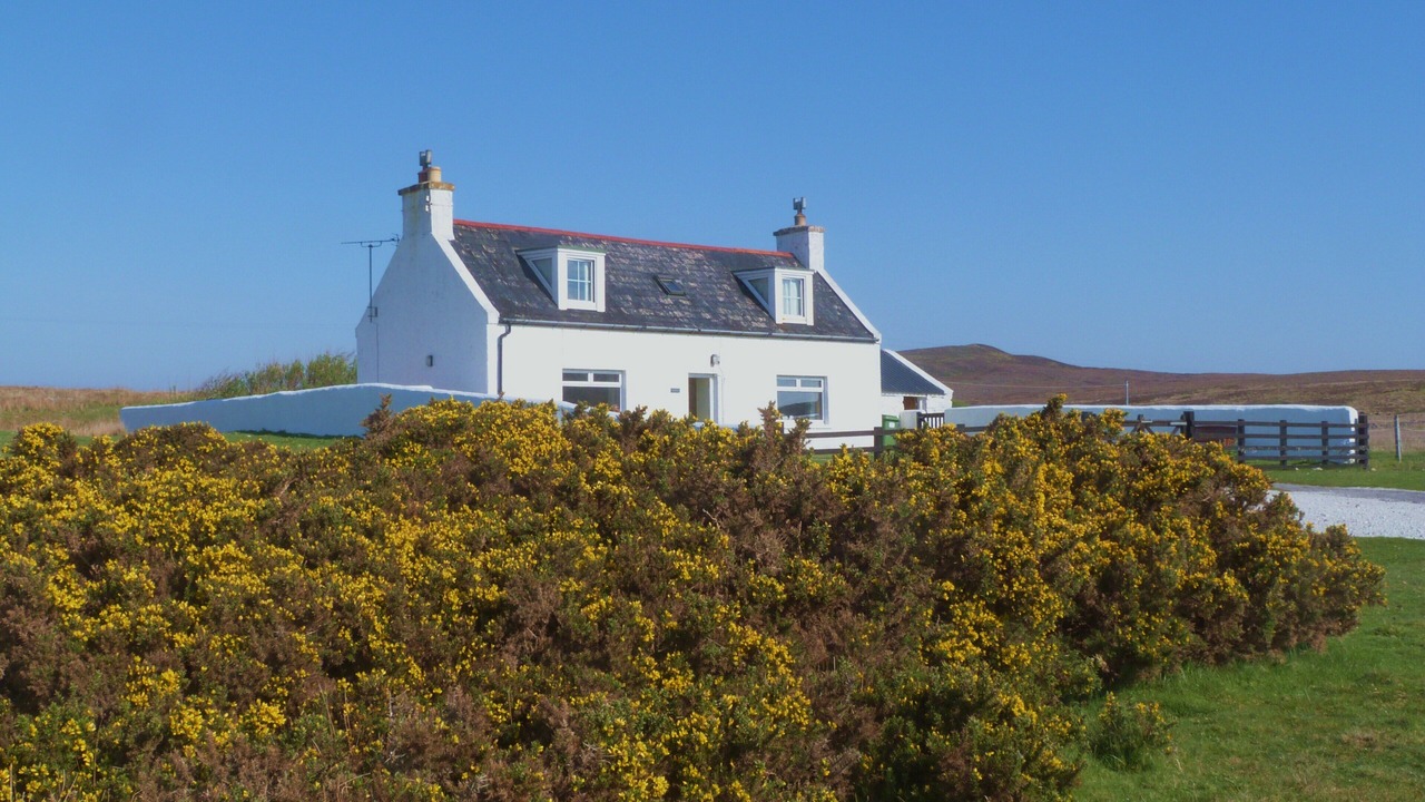 Photo of Others in Clachtoll