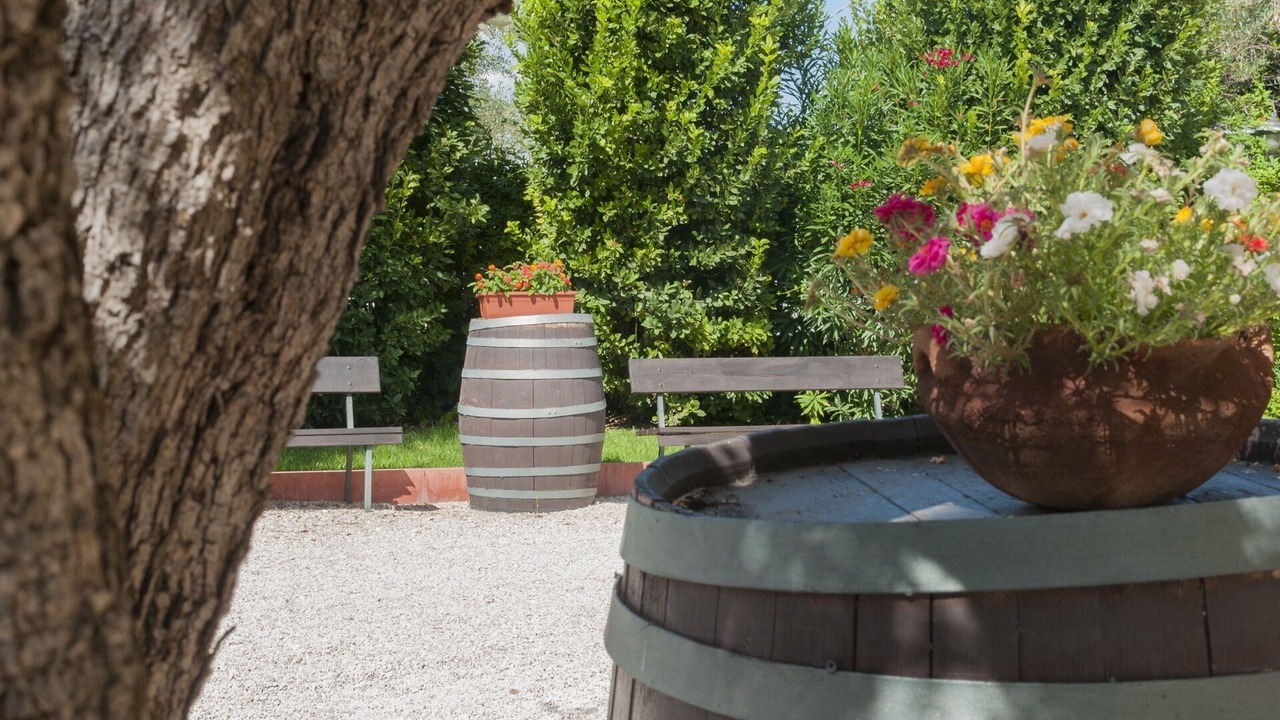 Photo of Outdoor in Pianella
