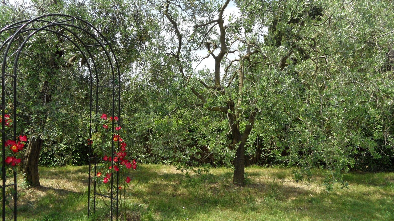 Photo of Outdoor in Montelupo Fiorentino