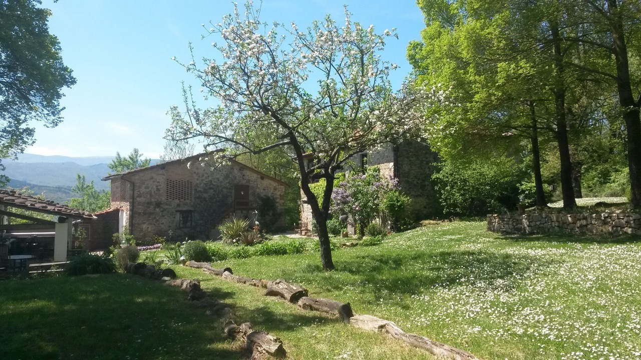 Photo of Outdoor in Poppi