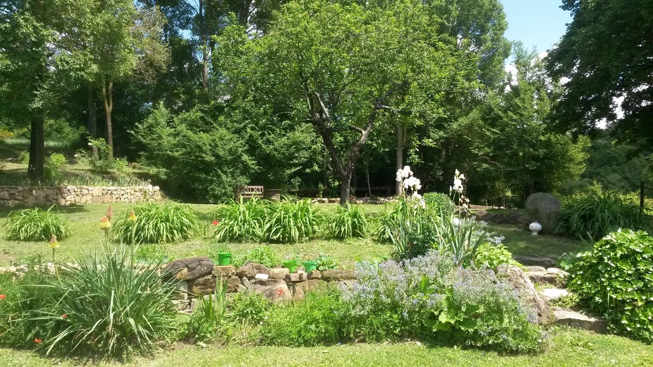 Photo of Outdoor in Poppi