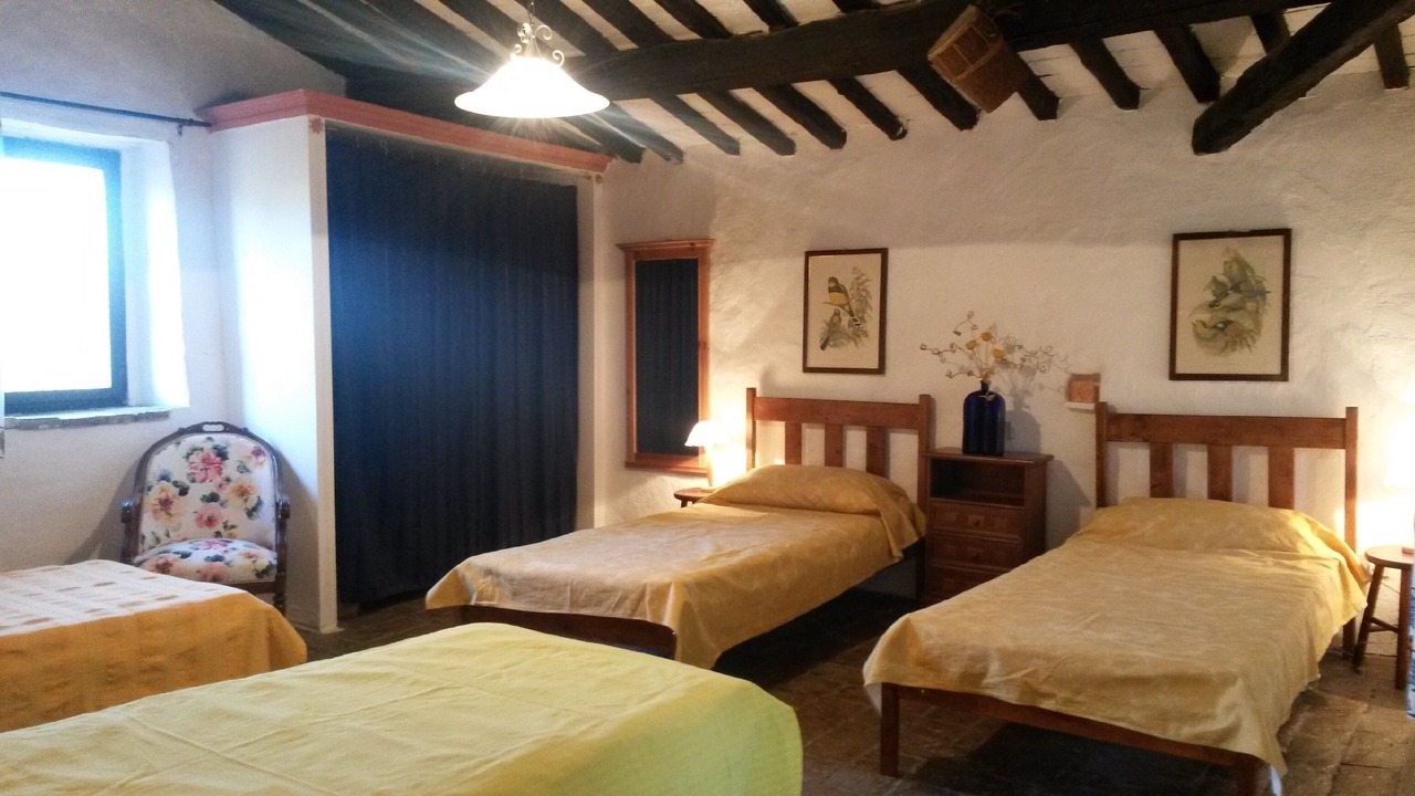 Photo of Bedroom in Poppi