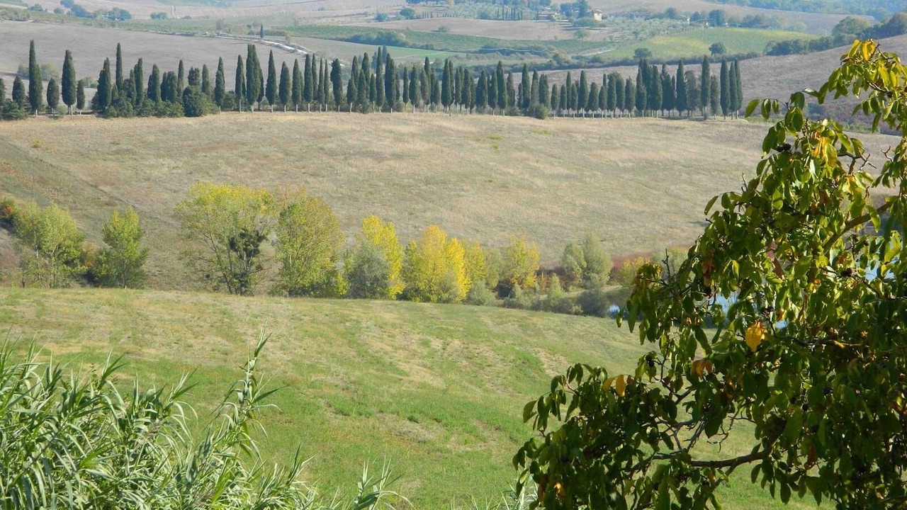 Photo of Outdoor in Lilliano