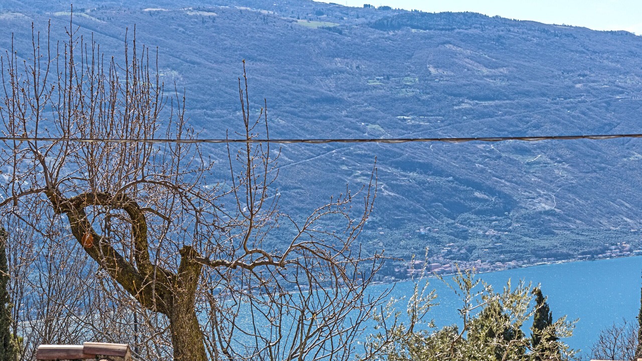 Photo of Others in Gardola