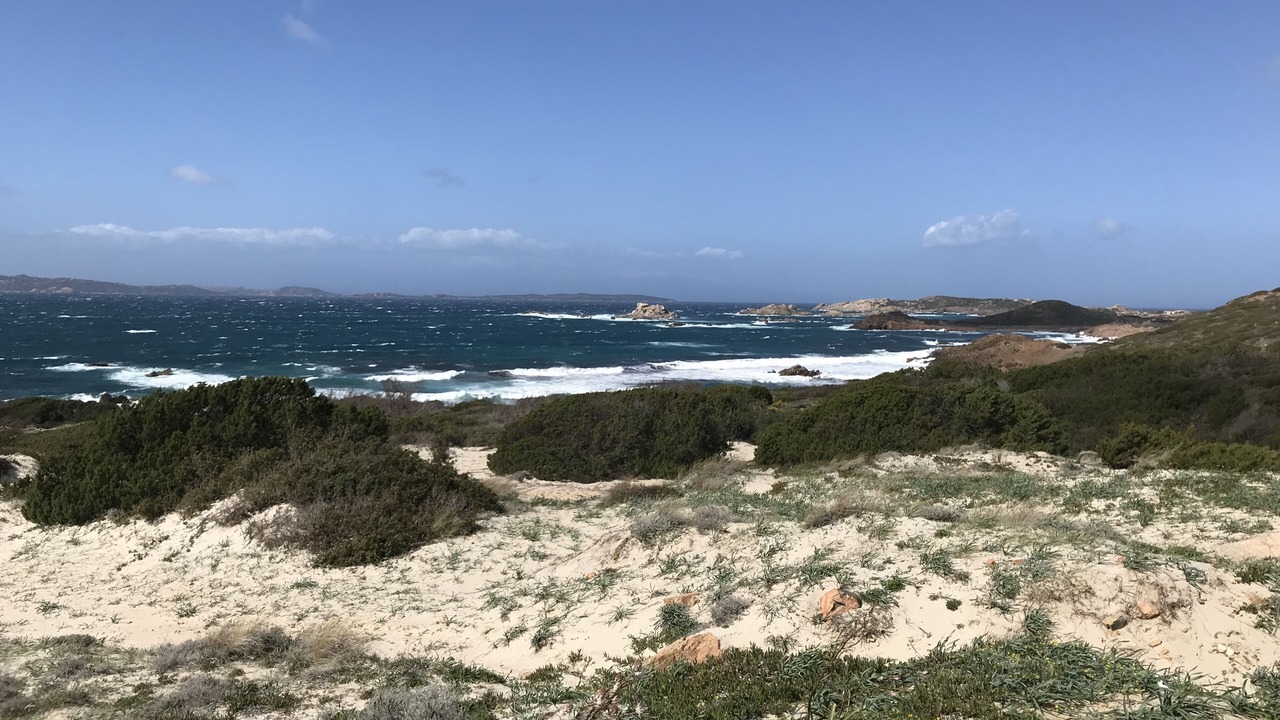 Photo of Others in La Maddalena