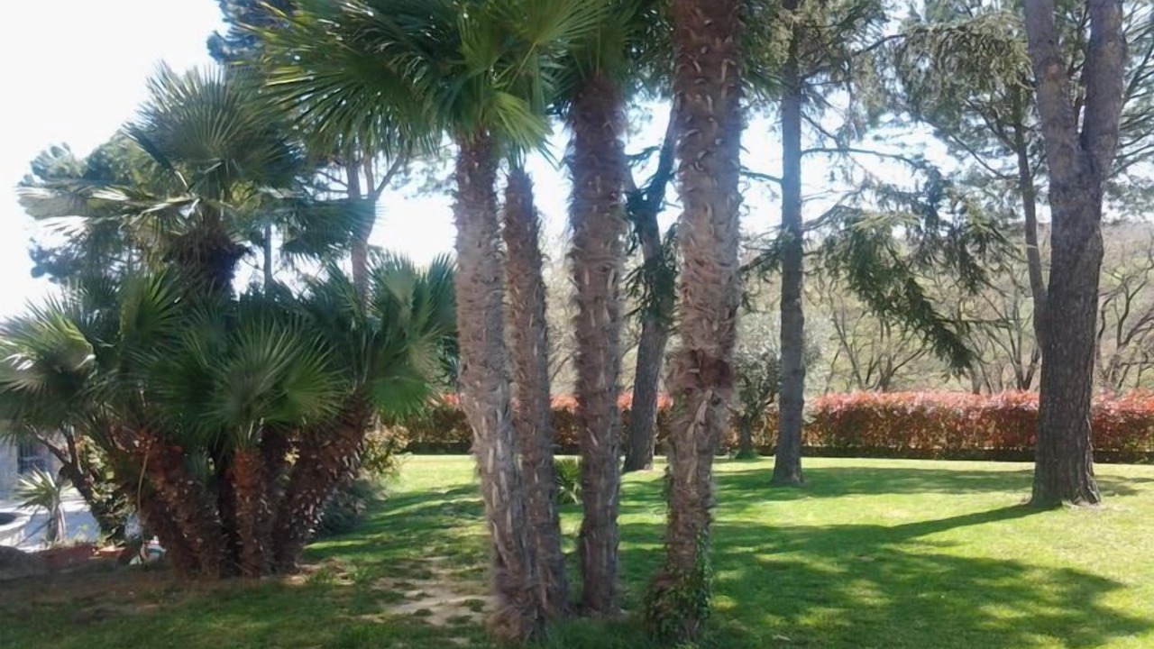 Photo of Outdoor in Colbuccaro