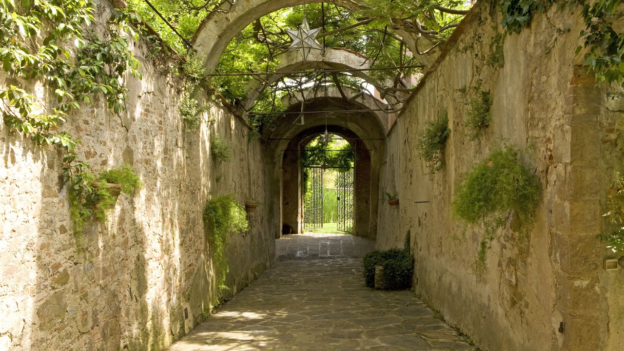 Photo of Outdoor in Santo Spirito