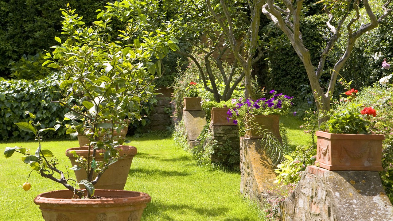Photo of Outdoor in Santo Spirito