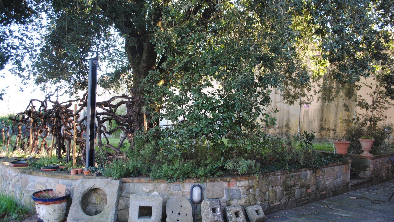 Photo of Outdoor in Oltrarno