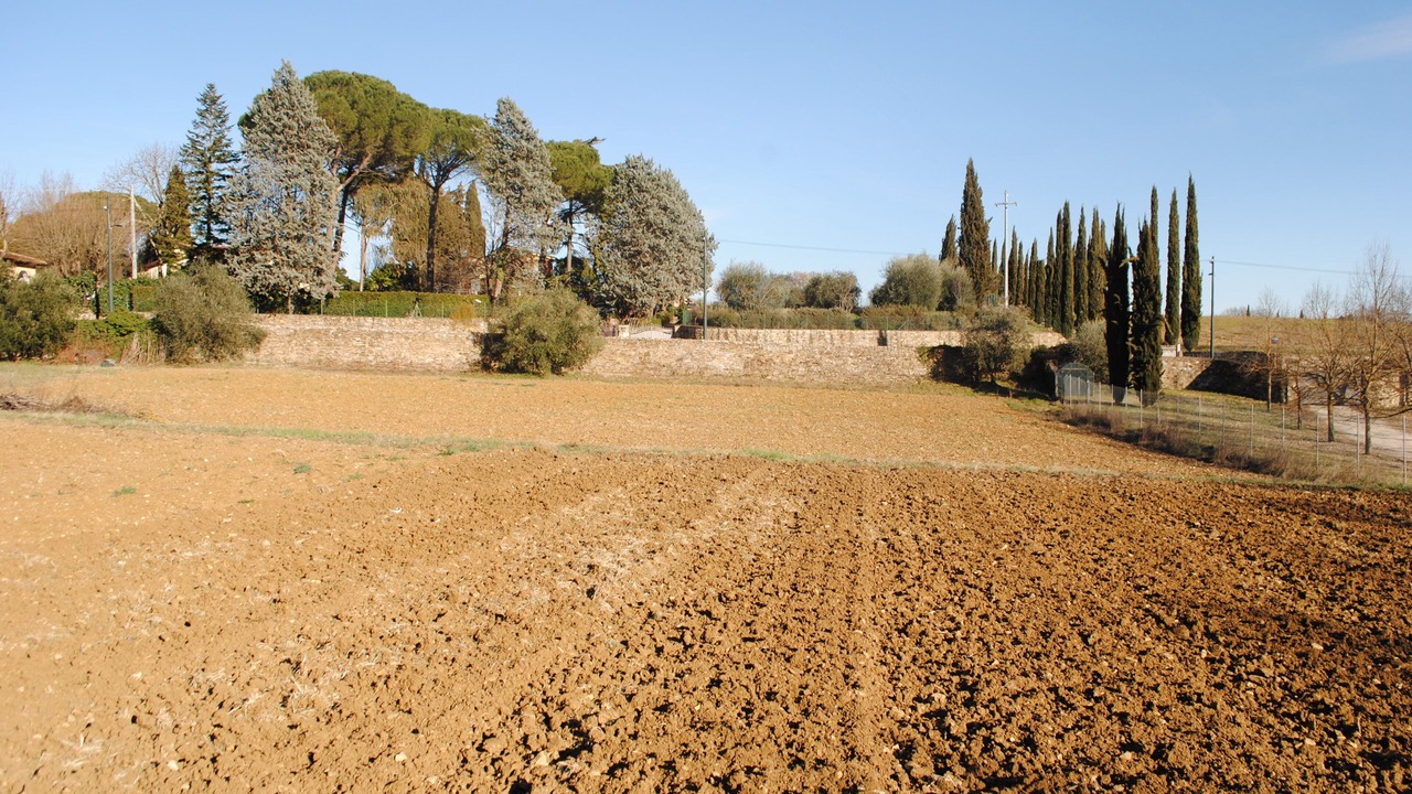 Photo of Others in Oltrarno