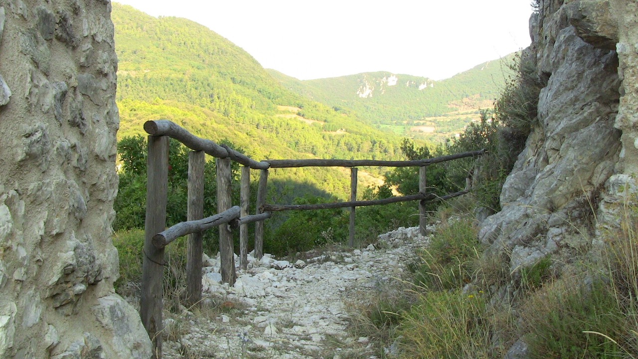 Photo of Others in Precetto