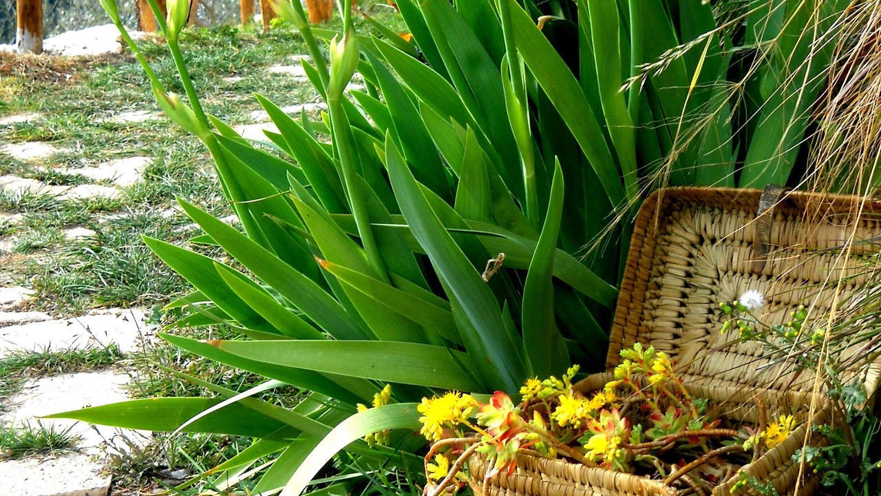 Photo of Outdoor in Precetto
