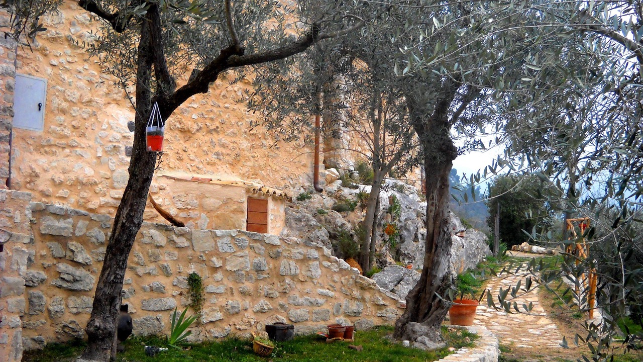 Photo of Outdoor in Precetto