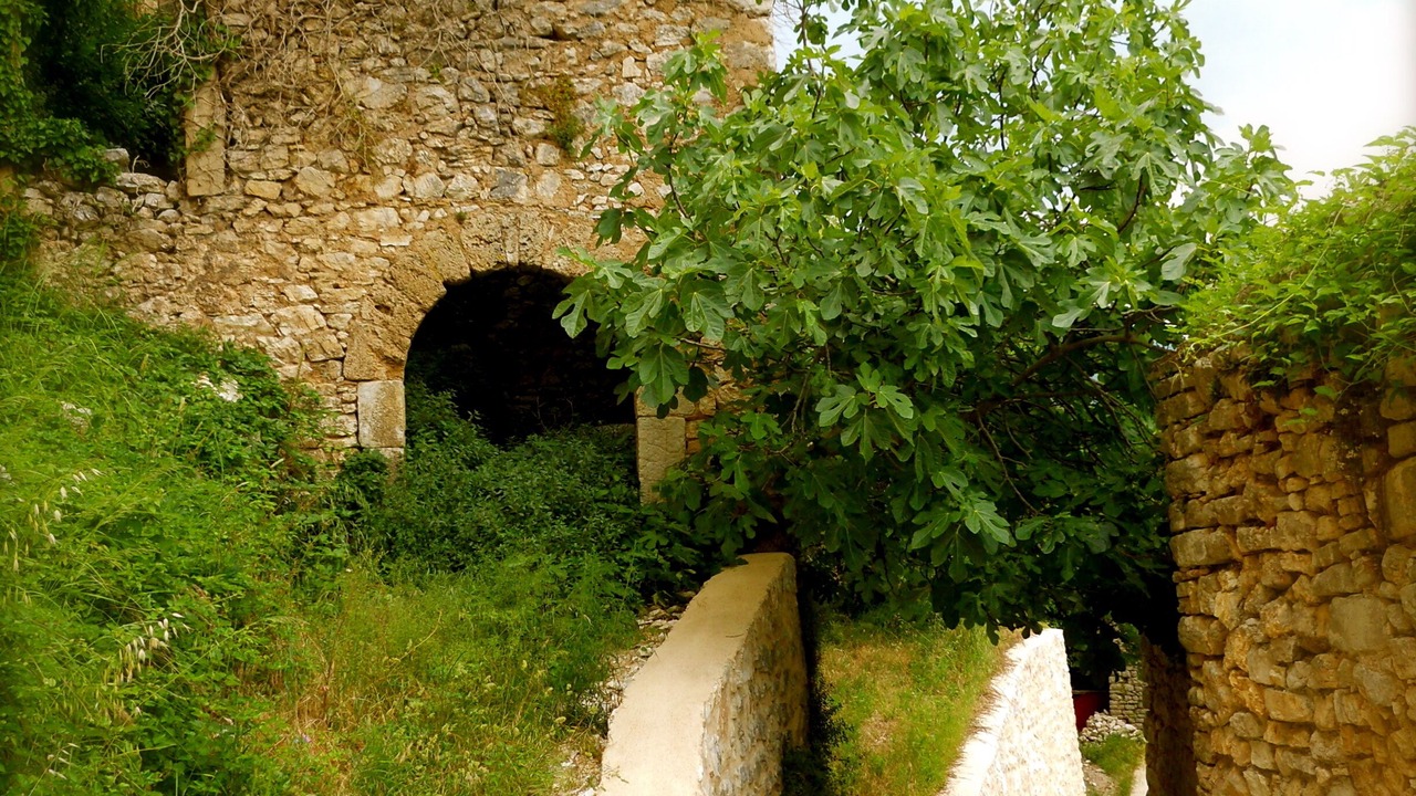 Photo of Outdoor in Precetto